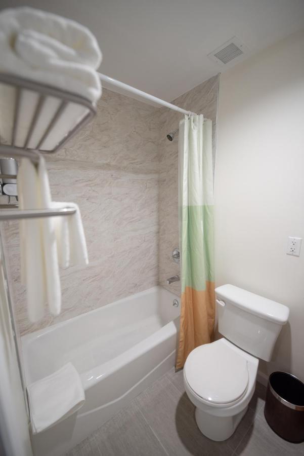 Double or Twin Room View