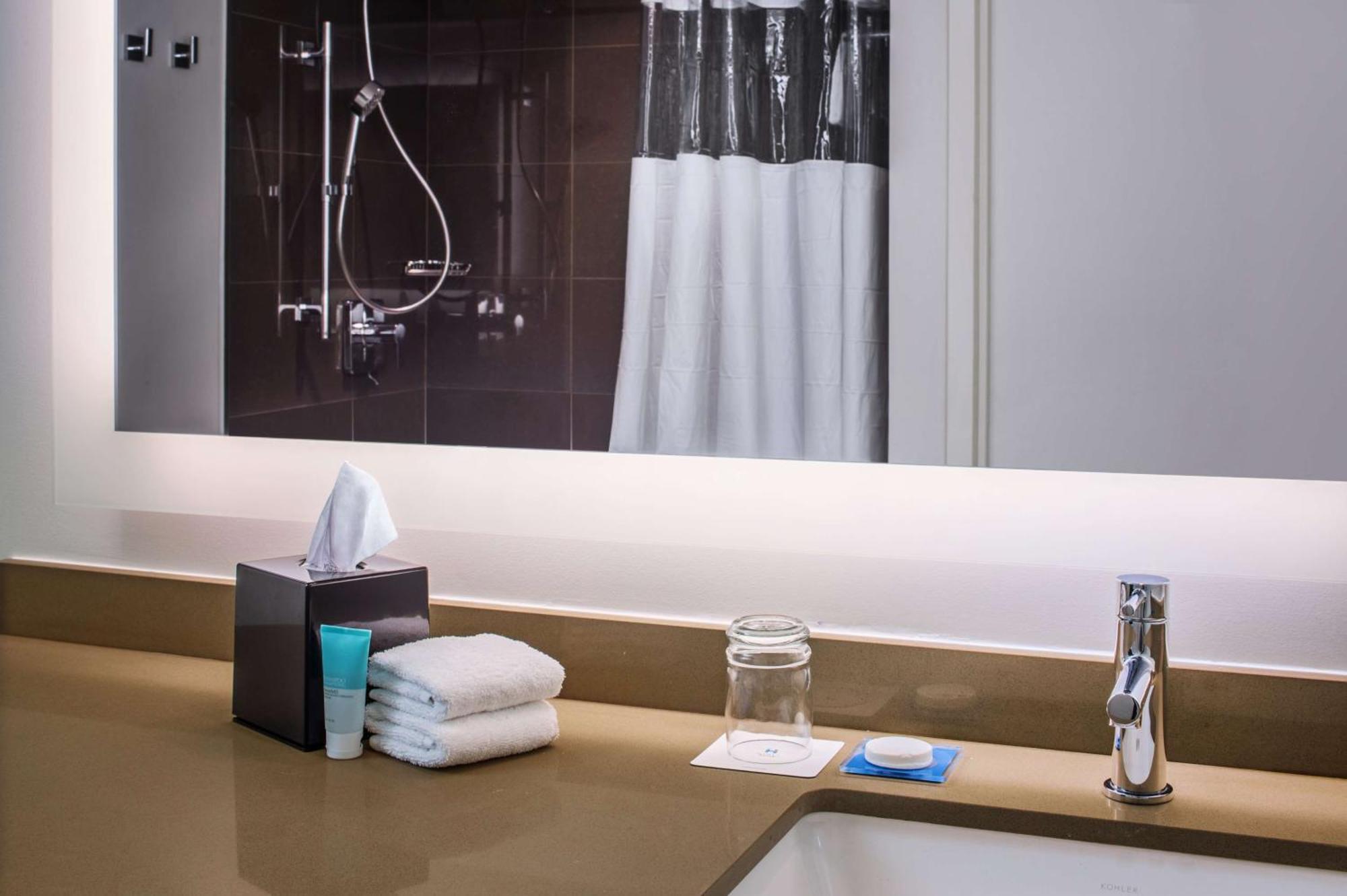 One-Bedroom Specialty King Suite Kitchen Roll Shower Disability Access