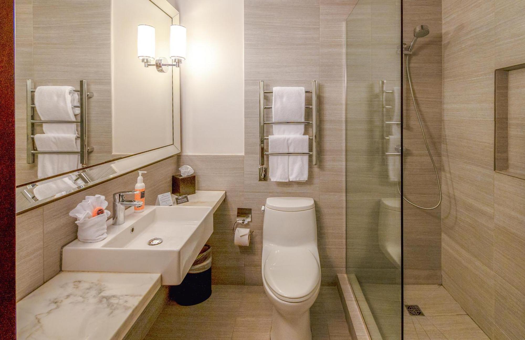 King Room Accessible Shower Disability Access