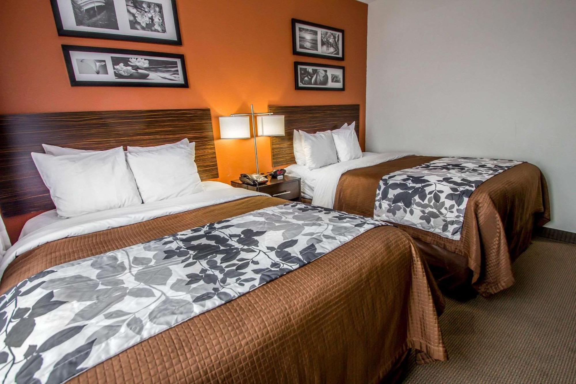 Double Room with Two Double Beds