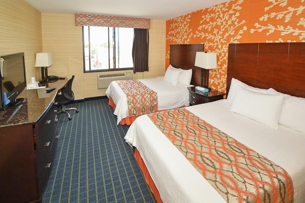 Double Room with Two Double Beds,422293098:JPEG