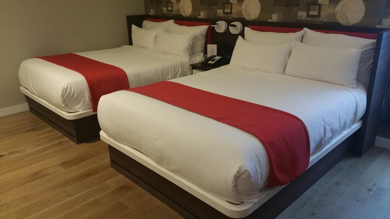 Standard Double Room,434132295:JPEG