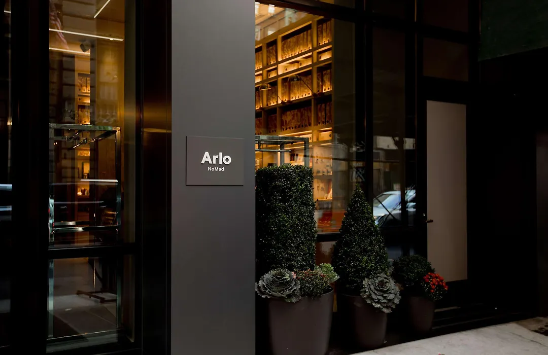 Arlo Nomad-1