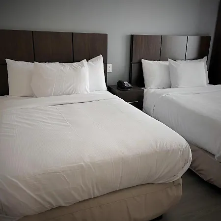 Hotel 21 Nyc-2