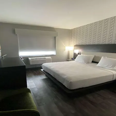 Best Western Plus City Line Hotel-2