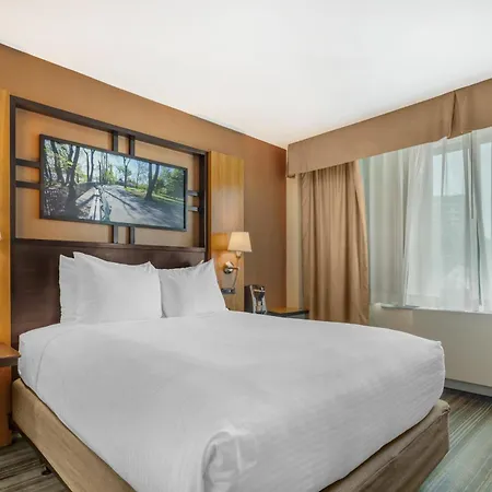 Best Western Queens Gold Coast-2