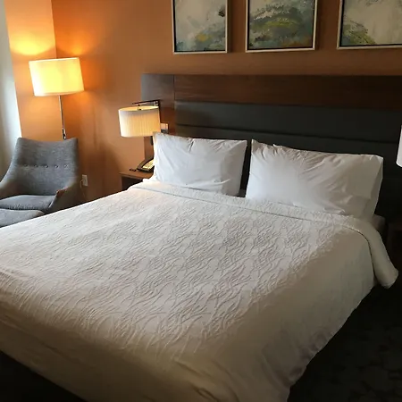 Hilton Garden Inn Long Island City-3