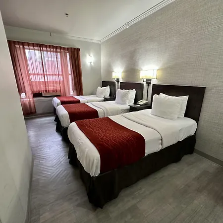 Heritage Hotel New York City-2